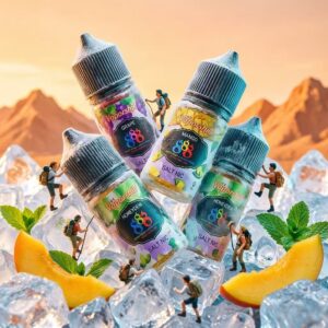 Vaporshill 888 煙油 馬來西亞原裝進口 濃郁芒果冰沙 果香小煙專用口糧
