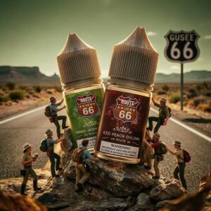 美國 ROUTE 66 公路煙油，40mg 高濃度尼古丁鹽，正統美式醇厚菸草風味，老菸民專屬替菸首選日常口糧