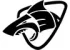 SALTSHAQ.webp